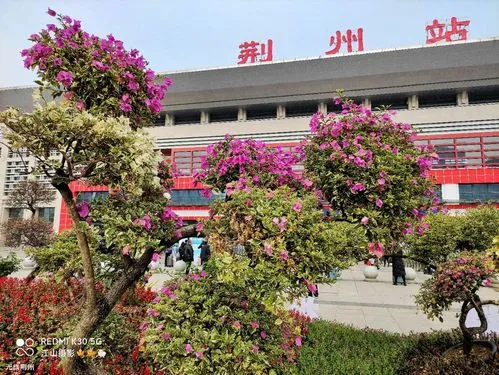 南通到荊州貨運(yùn)公司_南通到荊州貨運(yùn)專線