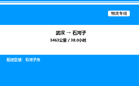 武漢到石河子物流專(zhuān)線(xiàn)-武漢至石河子貨運(yùn)公司